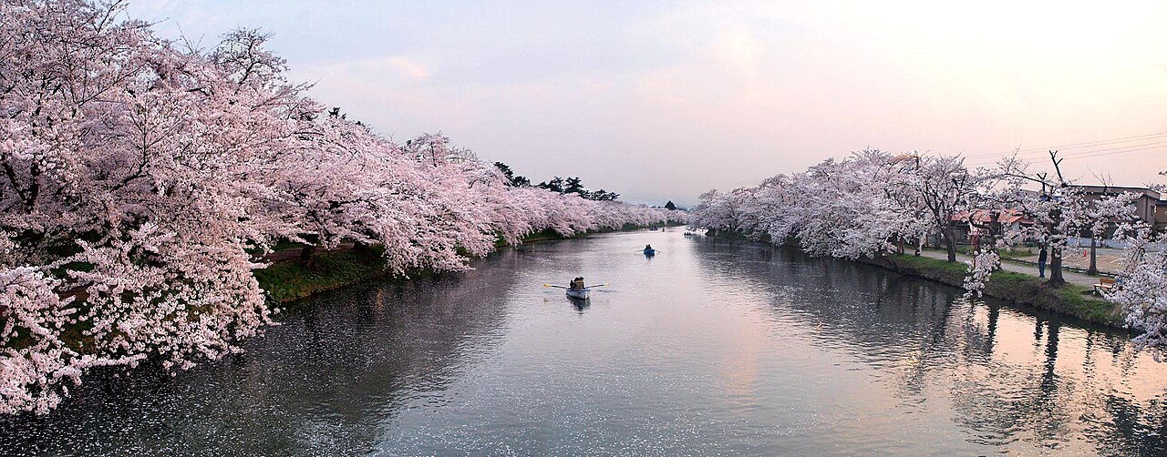 弘前公園の別アングルを確認できる実写写真 2
