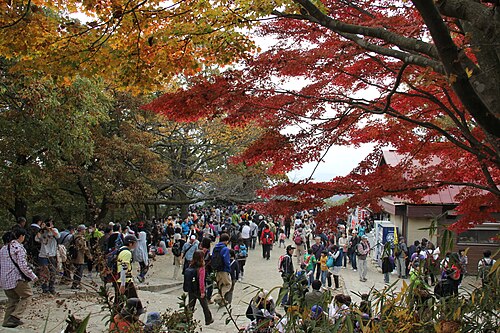 高尾山の別アングルを確認できる実写写真 1