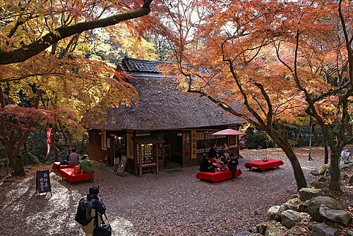 奈良公園の別アングルを確認できる実写写真 2