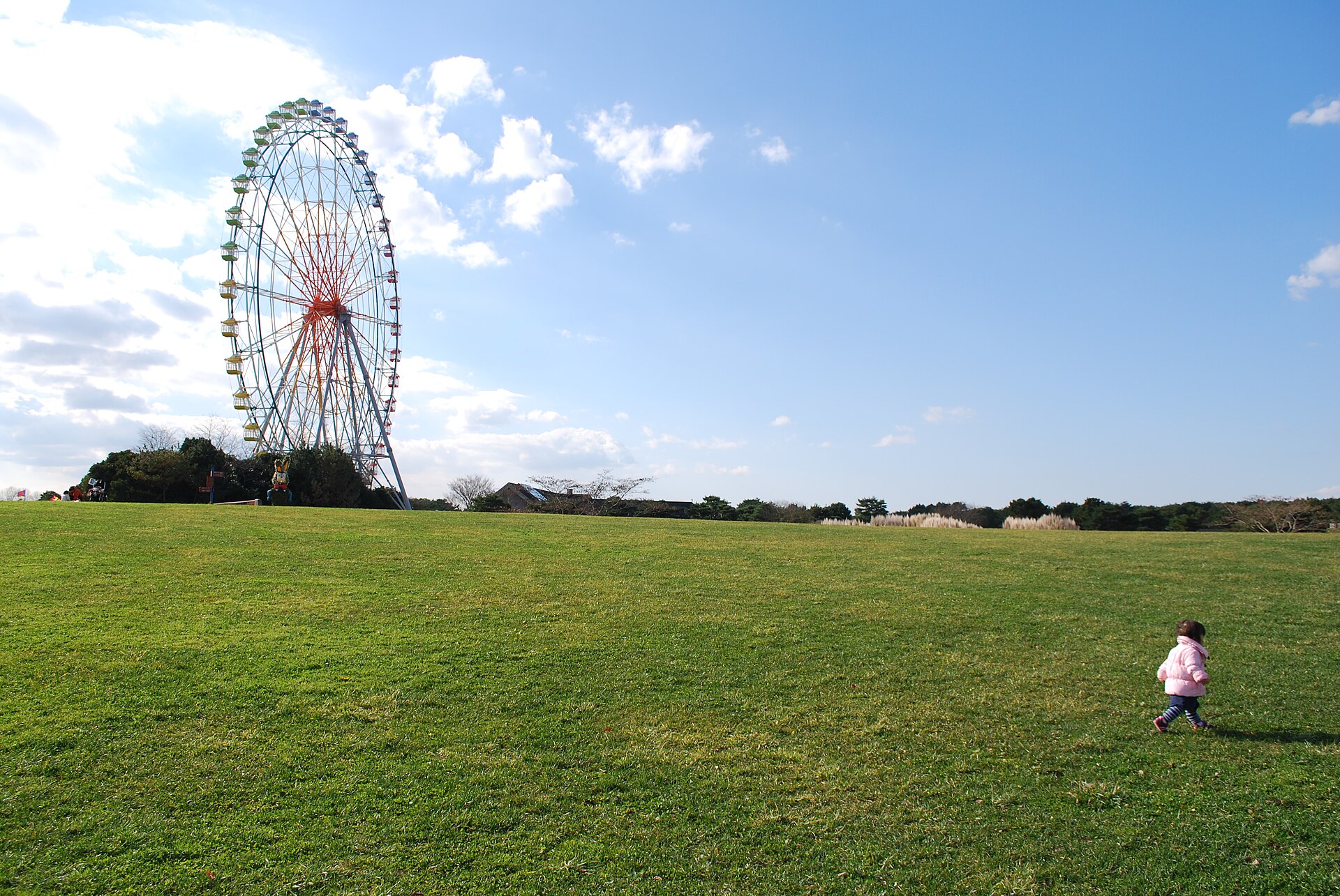 国営ひたち海浜公園の実写写真。訪問前のイメージ確認用。