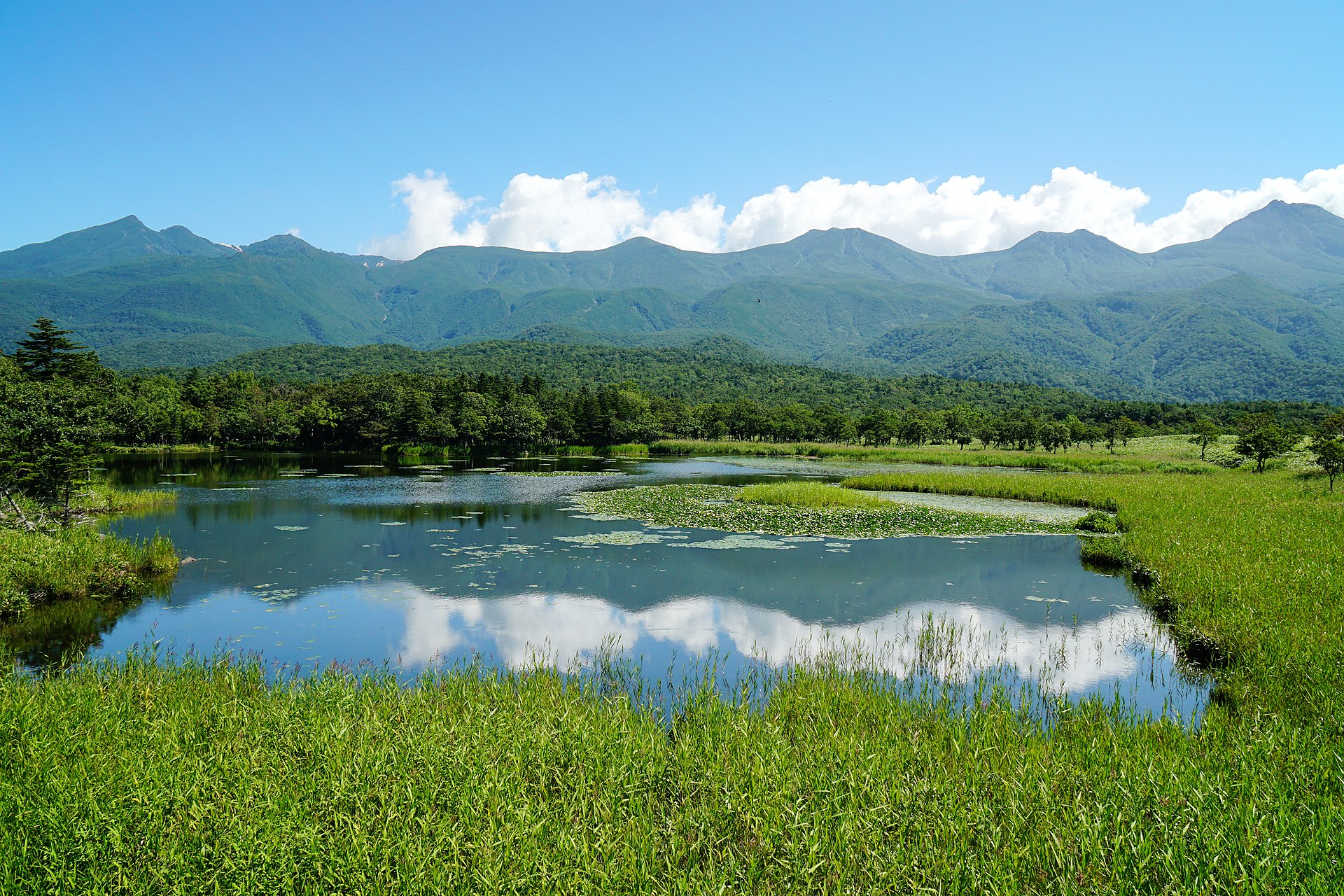 知床五湖の実写写真。訪問前のイメージ確認用。